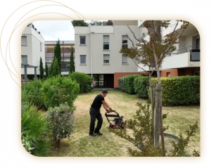 Entretien courant espaces verts