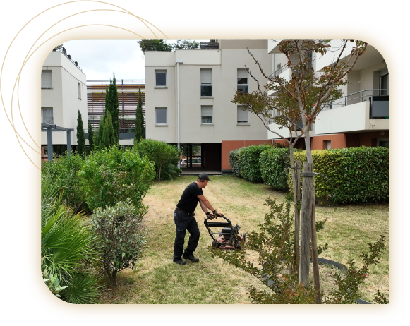 Entretien courant espaces verts Entretien courant espaces verts