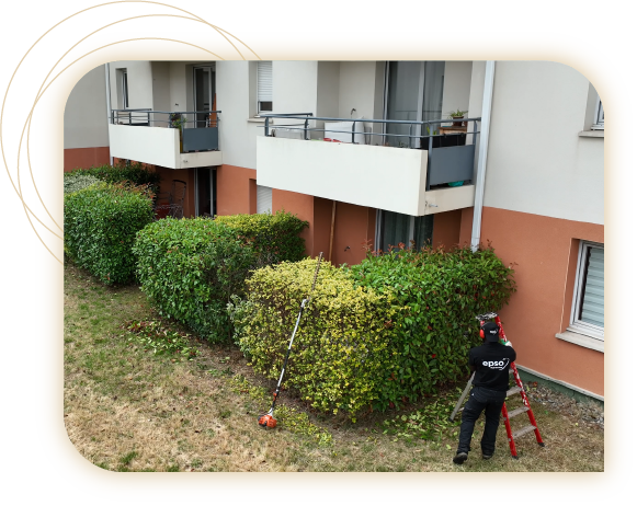 page-services-espaces-verts Service Nettoyage Secteur tertiaire