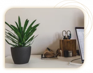 page-services-location-plantes