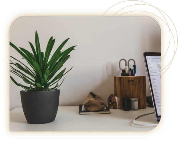 page-services-location-plantes services-location-plantes