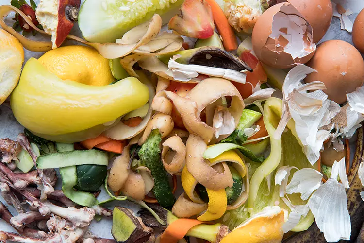 Tri des biodéchets, EPSO vous accompagne